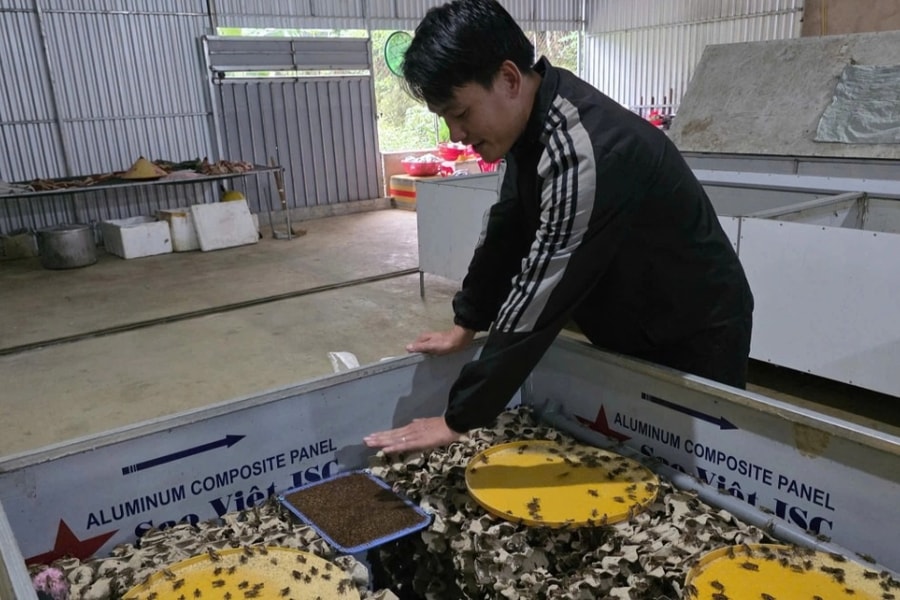 Bỏ phố cảng về bản khởi nghiệp, người đàn ông trở thành triệu phú