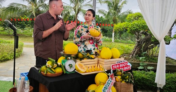 Đưa vườn cam, dưa kim hoàng hậu vùng cao lên sóng livestream