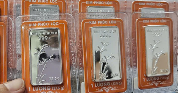 Giá bạc hôm nay 7-11: Hai thương hiệu lớn biến động ngược chiều