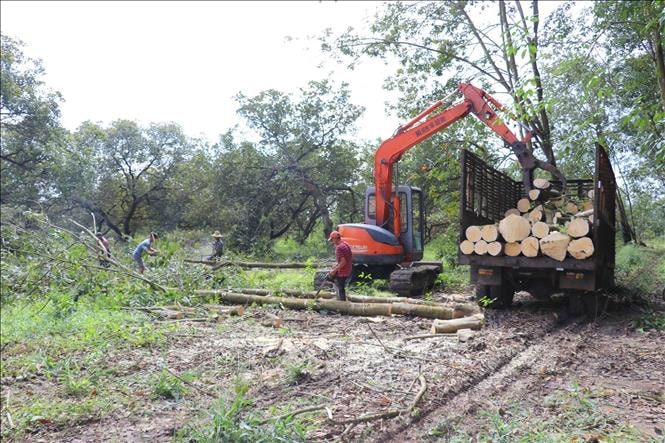 Bàn giao mặt bằng Dự án cao tốc Bắc - Nam phía Tây