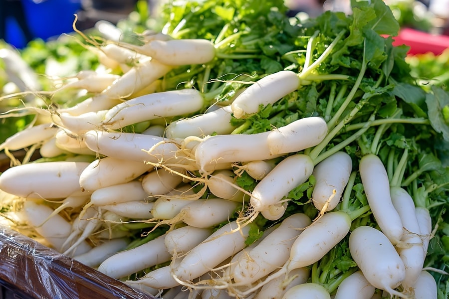 Ăn củ cải trắng có giúp phòng bệnh hô hấp?