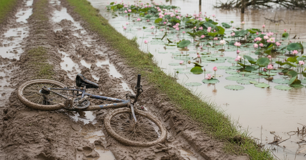 Hai anh em họ ở Đà Nẵng tử vong thương tâm