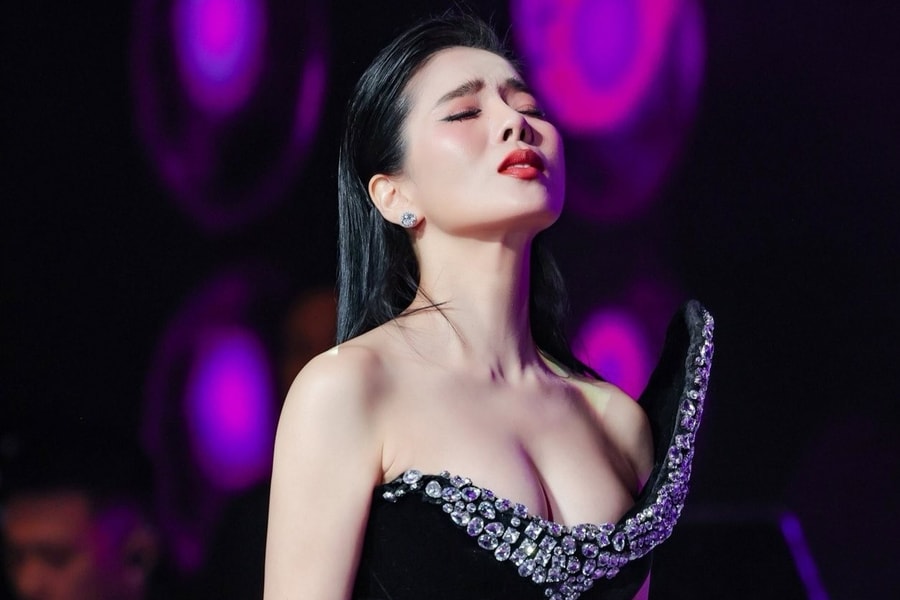 Lệ Quyên đáp trả