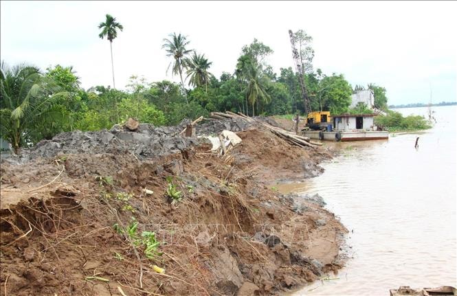 Vĩnh Long: Công bố tình huống khẩn cấp sạt lở đê bao cồn Thanh Long