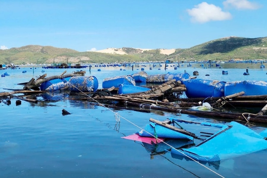 Bão Kalmaegi đưa nhiều người dân thủ phủ tôm hùm trở về tay trắng