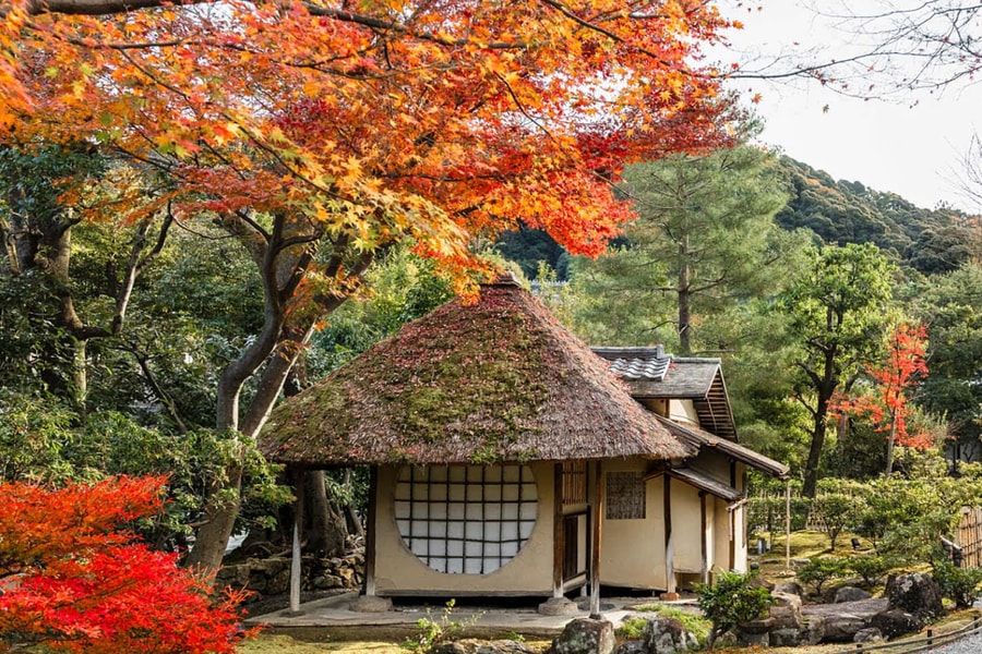 Lý do khách Nhật đến Việt Nam sụt giảm hai tháng liên tiếp