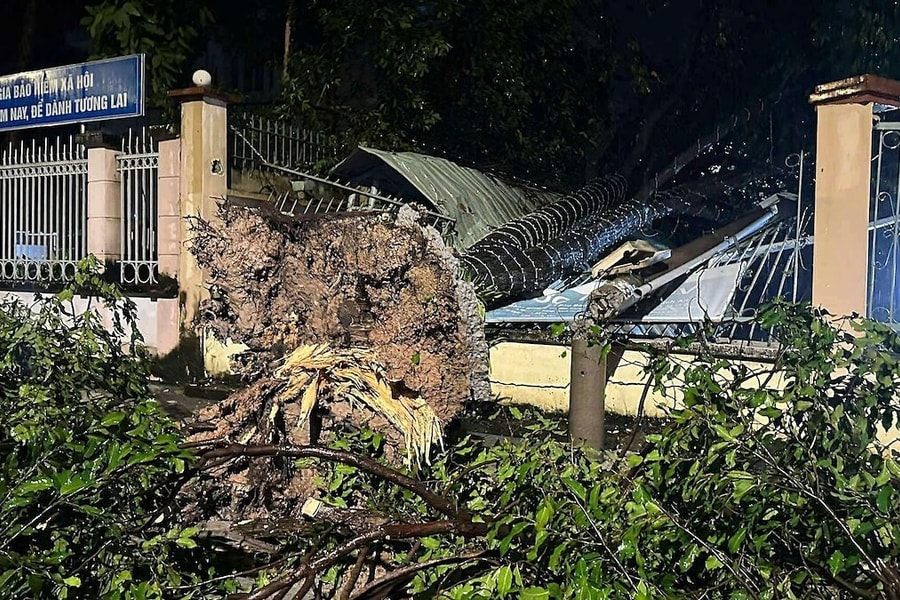 Loạt cây xanh đổ trong giông lốc ở TP HCM
