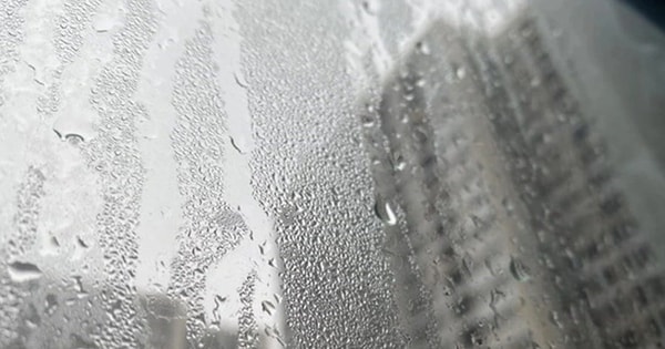 Thời tiết ẩm ướt bất thường ở miền Bắc, chuyên gia cảnh báo nguy cơ dịch bệnh