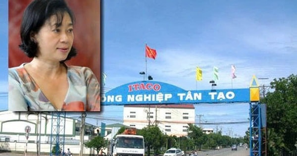 Công ty Tân Tạo của bà Đặng Thị Hoàng Yến được đình chỉ thủ tục phá sản