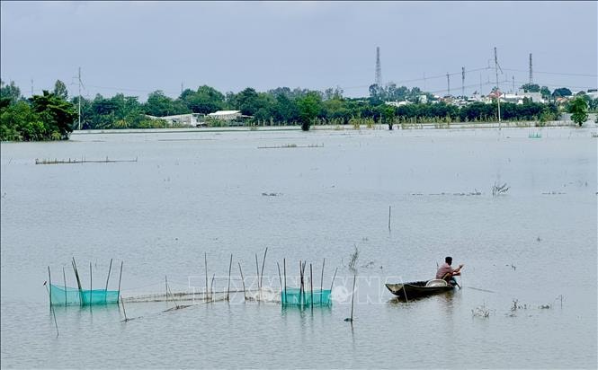 Mực nước trên sông Hậu tại trạm Long Xuyên vẫn còn nguy cơ gây ngập lụt