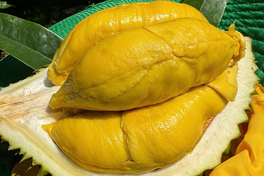 Trung Quốc vẫn tăng mua rau quả Việt