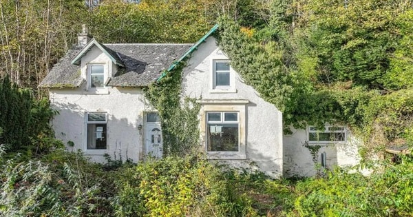 Ngôi nhà trông bình thường, bên trong ẩn chứa thông điệp đáng sợ