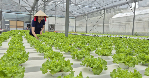 Tháo điểm nghẽn cho nông sản sạch TP HCM