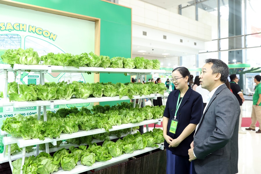 Masan triển lãm về mô hình trang trại sạch, vật liệu công nghệ cao