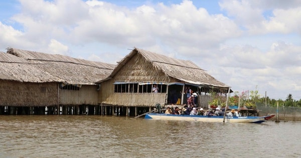 Khám phá "biển hồ giữa lòng đồng bằng" ở Cà Mau