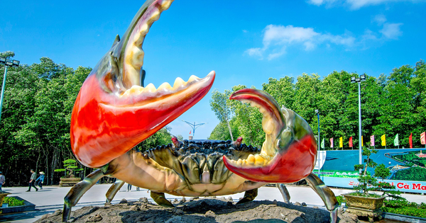 ‘Xin chào Cà Mau’ – Lan tỏa hương vị phương Nam giữa lòng TPHCM