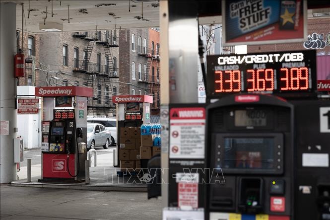 Giá dầu đi lên sau sự cố tại cảng Novorossiysk