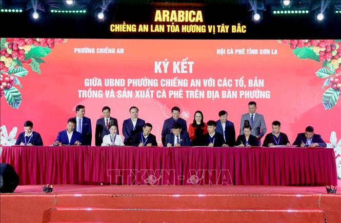 Xây dựng vùng cà phê đặc sản mang đậm bản sắc văn hóa địa phương