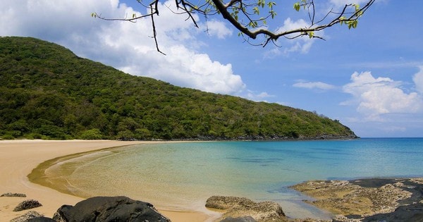 Bất động sản xanh ở Việt Nam còn nhiều hạn chế