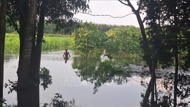 Hàng chục hecta hoa màu bị ngập do mưa lớn và xả lũ hồ Sông Ray