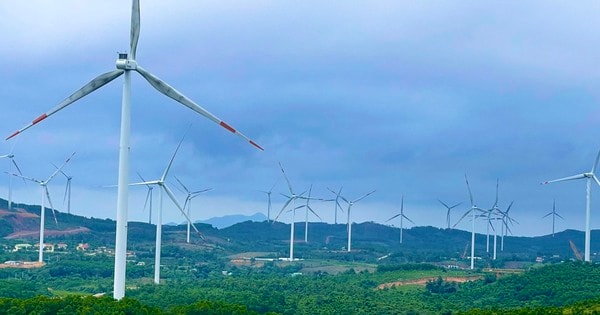 Điện gió Quảng Trị cắt giảm công suất, hướng đi nào cho phát triển năng lượng tái tạo bền vững?