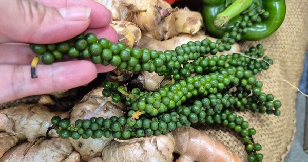 Mỹ chính thức miễn thuế đối ứng với cà phê, tiêu