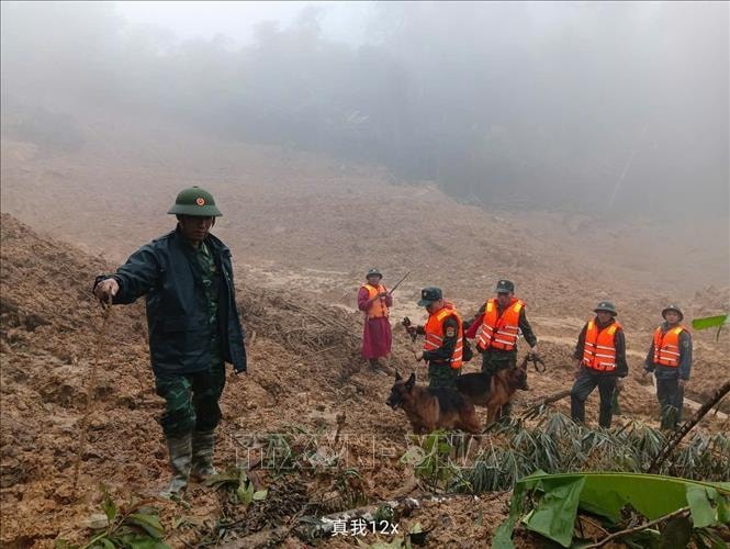Sử dụng chó nghiệp vụ tìm kiếm nạn nhân mất tích