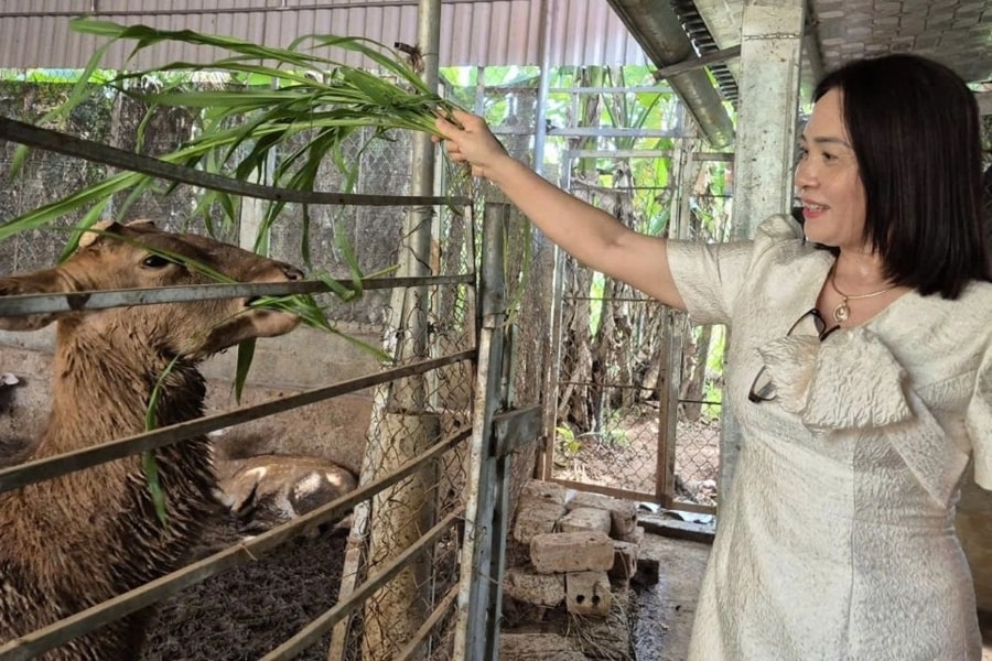 Nữ giáo viên kiếm nửa tỷ đồng mỗi năm từ "nghề tay trái"