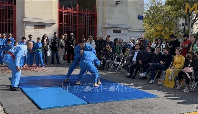 Vovinam - Việt Võ Đạo trở thành 'sứ giả văn hóa' tại châu Âu