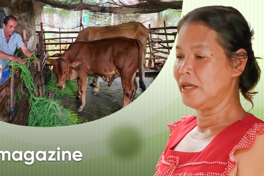 Người Khmer thoát nghèo bền vững nhờ Chương trình Mục tiêu quốc gia