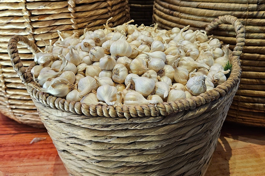 5 thực phẩm hỗ trợ chữa lành thận tự nhiên