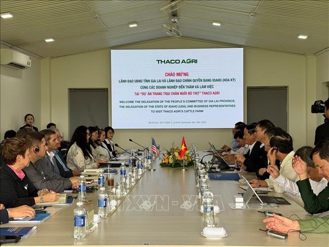 Bang Idaho (Hoa Kỳ) quan tâm tới mô hình chăn nuôi bò công nghệ cao
