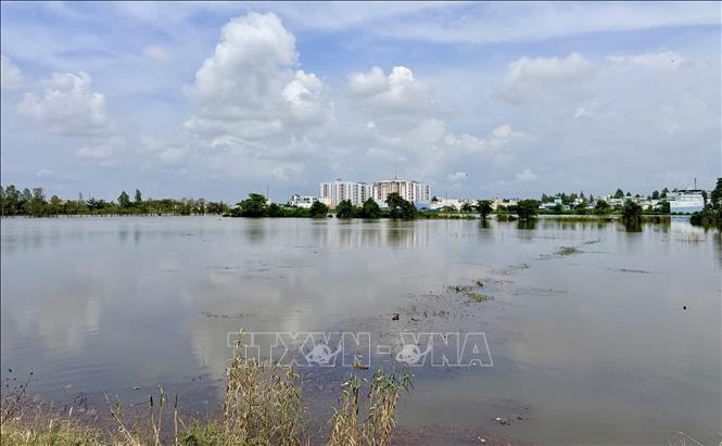 Cảnh báo vùng hạ lưu sông Hậu xuất hiện đỉnh triều trên báo động 3 từ ngày 21 - 22/11