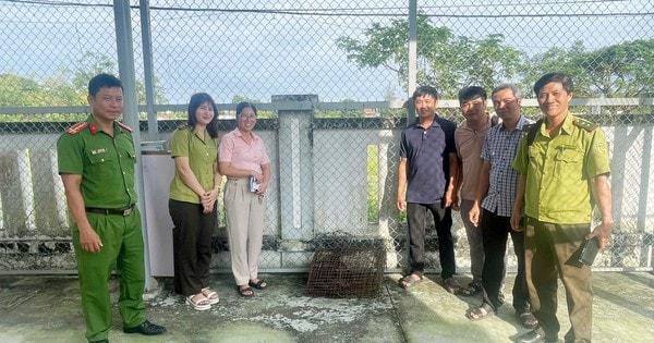 2 con vật quý hiếm xuất hiện ở Đà Nẵng