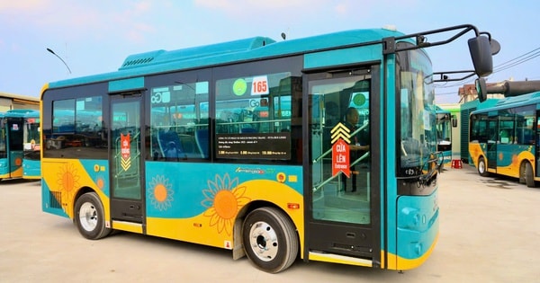 Sơ đồ chi tiết 6 tuyến buýt điện mới ở Côn Đảo: Người dân cần biết