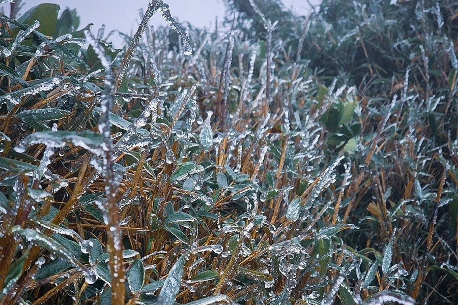 Đỉnh núi cao ở Lào Cai, Lai Châu xuất hiện băng giá
