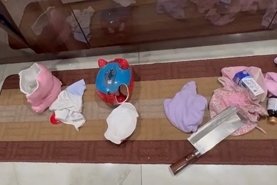 Đột nhập biệt thự ăn trộm hai con lợn đất