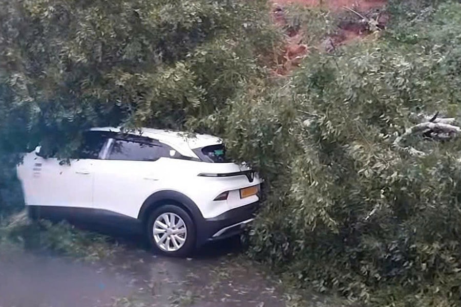 Sạt lở, cây đổ chắn ngang đèo Mimosa cửa ngõ Đà Lạt