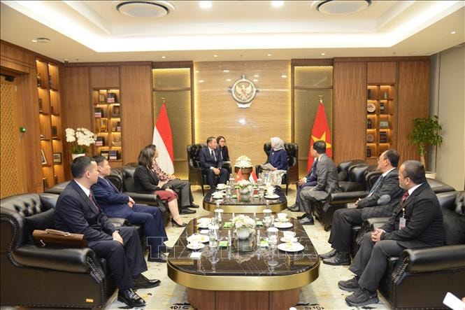 Tăng cường hợp tác kiểm toán Việt Nam - Indonesia