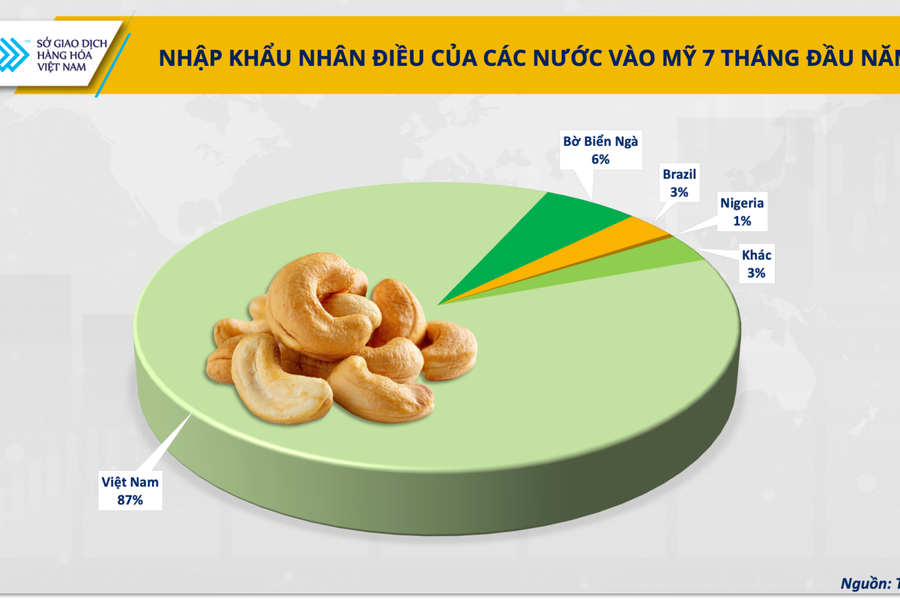 Hạt điều Việt Nam: Từ xuất khẩu thô đến cơ hội sữa hạt tại Mỹ