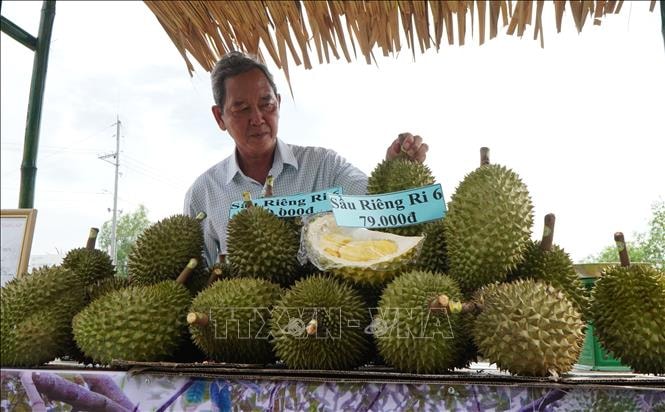 Sầu riêng nghịch vụ giá cao