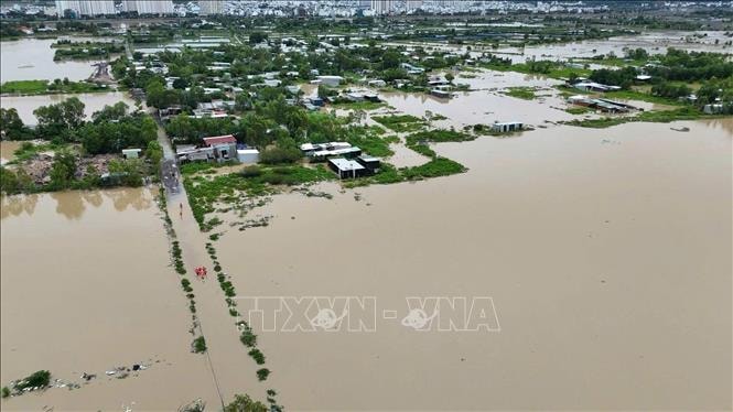 Mưa lũ làm 10.055 ha lúa, hoa màu bị thiệt hại