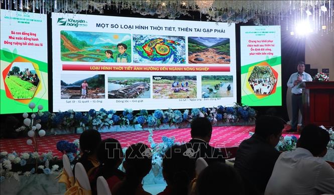 Huế hướng dẫn khôi phục sản xuất nông nghiệp sau mưa lũ