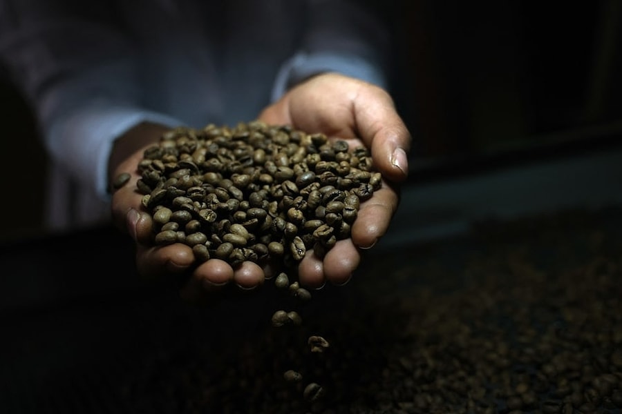 Ông Trump bỏ thuế nhập khẩu 40% với thịt bò, cà phê Brazil