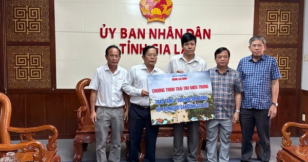 Hơn 90 tỉ đồng ủng hộ Gia Lai khắc phục hậu quả bão số 13