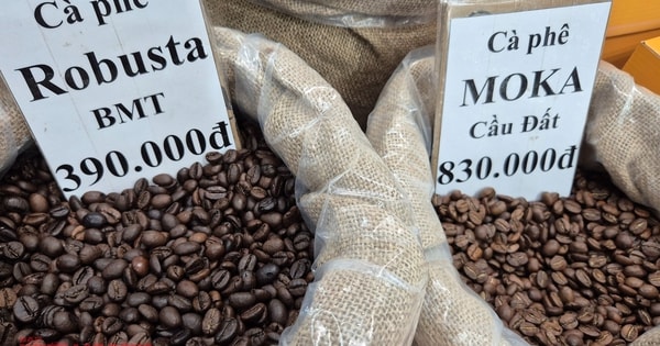 Giá cà phê hôm nay 22-11: Giảm mạnh khi Mỹ xóa thuế cho cà phê Brazil