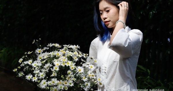 Hà Nội dịu dàng mùa hoa 'gọi đông'