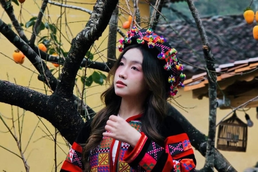 Cây hồng vô danh ở Hà Giang nổi như cồn, các nàng thơ đứng kín chờ chụp ảnh