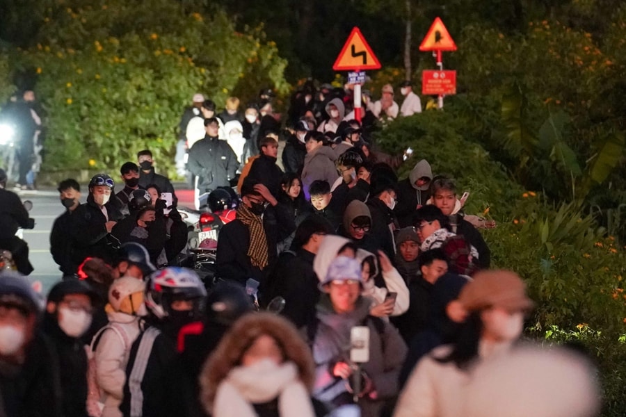 Du khách chờ săn mây, check in hoa dã quỳ từ rạng sáng