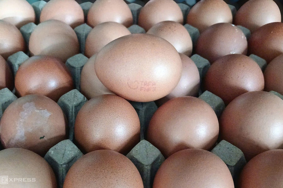 Giá trứng gà tăng mạnh